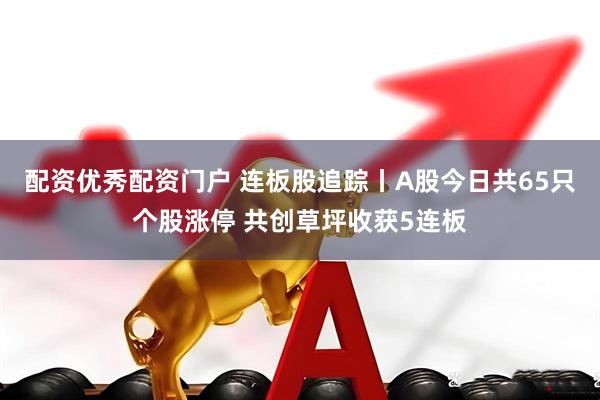 配资优秀配资门户 连板股追踪丨A股今日共65只个股涨停 共创草坪收获5连板