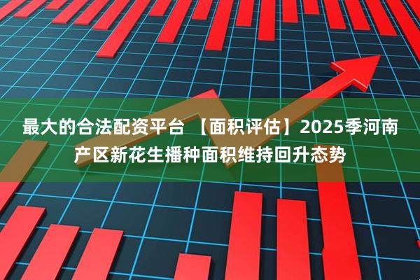 最大的合法配资平台 【面积评估】2025季河南产区新花生播种面积维持回升态势