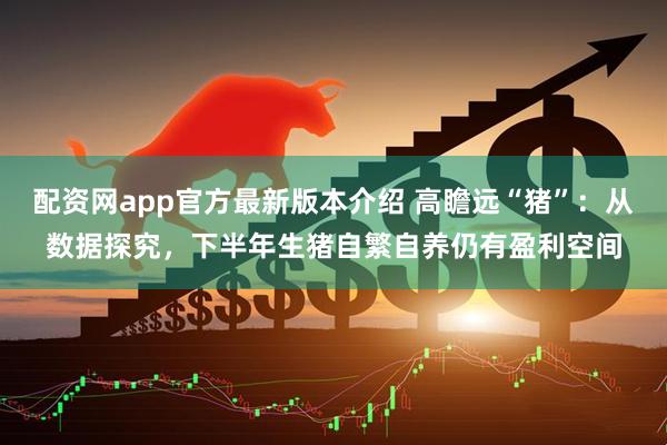 配资网app官方最新版本介绍 高瞻远“猪”：从数据探究，下半年生猪自繁自养仍有盈利空间